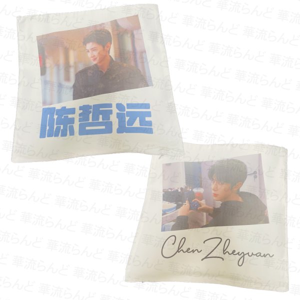 画像1: 陳哲遠 クッションカバー 012  チェン・ジョーユエン 陈哲远  ChenZheyuan チェンジョーユエン (1)