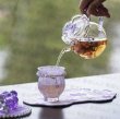画像2: ティーポットセット 001 中国 茶器 (2)