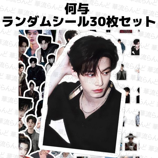 画像1: 何与 ランダムシール30枚セット 003 ホーユー ホー・ユー HeYu (1)