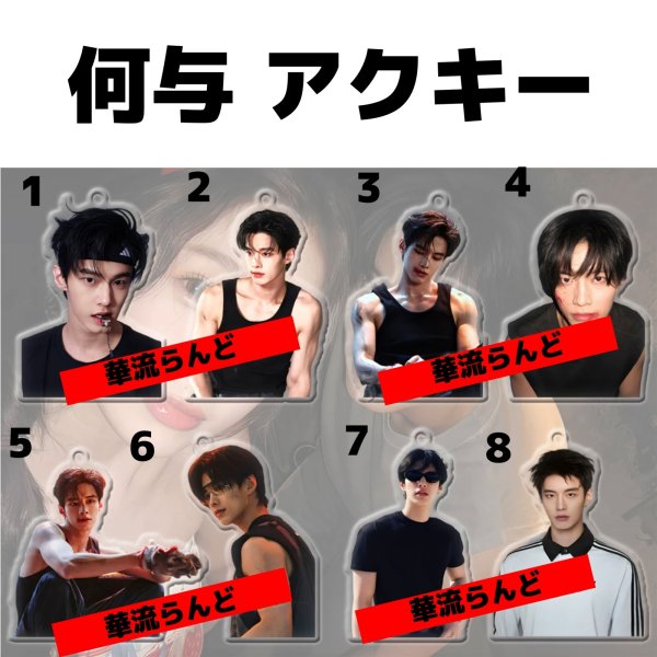 画像1: 何与 アクキー 001 ホーユー ホー・ユー HeYu 双轨 雙軌 双軌〜スピード&ラブ〜 (1)