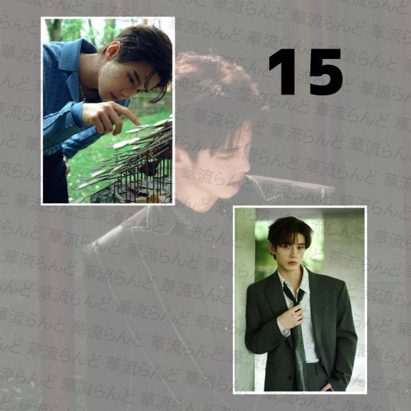 画像16: 何与 L版サイズ2枚セット 021 ホーユー ホー・ユー HeYu (16)