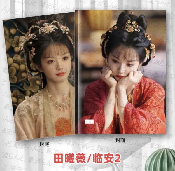 画像1: 大奉打更人 写真集 005 正義の銅鑼と王朝の闇  田曦薇 ティエンシーウェイ (1)