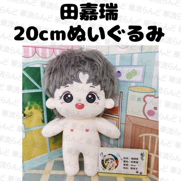 画像1: 田嘉瑞 20cm ぬいぐるみ 010 ティエン・ジアルイ ティエンジアルイ TianJiarui (1)