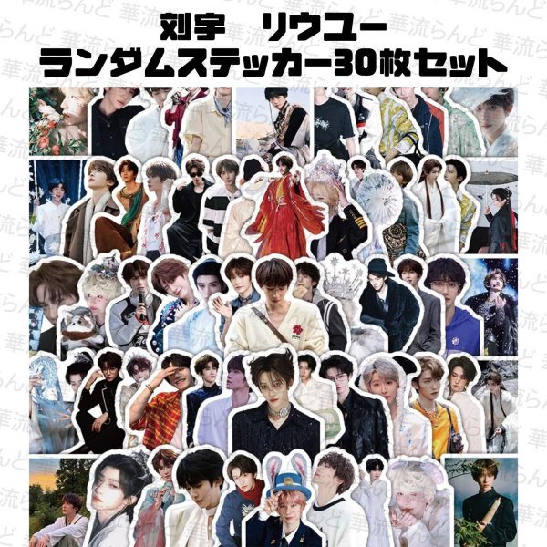 画像1: 刘宇 劉宇 リュウユ リウユ ランダムステッカー30枚セット 026 liuyu  (1)