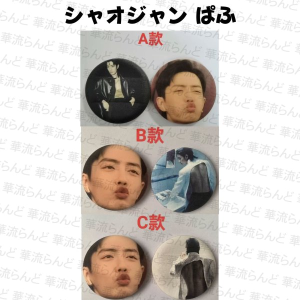 画像1: 肖战 パフ 062 シャオジャン 肖戦 XiaoZhan  (1)