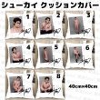 画像1: 許凱 40cm×40cm クッションカバー 041 许凯 シュー・カイ シューカイ XuKai  (1)