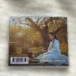 画像2: 凡人修仙伝 OST CD サントラ 004 ヤン・ヤン 楊洋 ヤンヤン 凡人修仙传 (2)