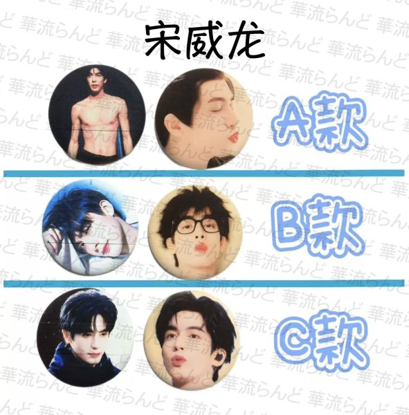画像1: 宋威龍 メイクパフ 009 ソン・ウェイロン 宋威龙 ソンウェイロン Songweilong (1)