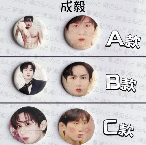 画像1: 成毅 チョンイー 033  チョンイー ChengYi CUP (1)