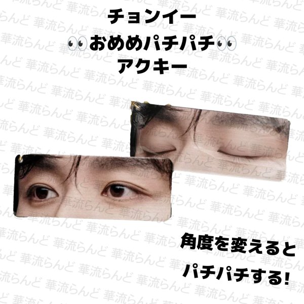 画像1: 成毅 チョンイー おめめパチパチアクキー 036  チョンイー ChengYi (1)